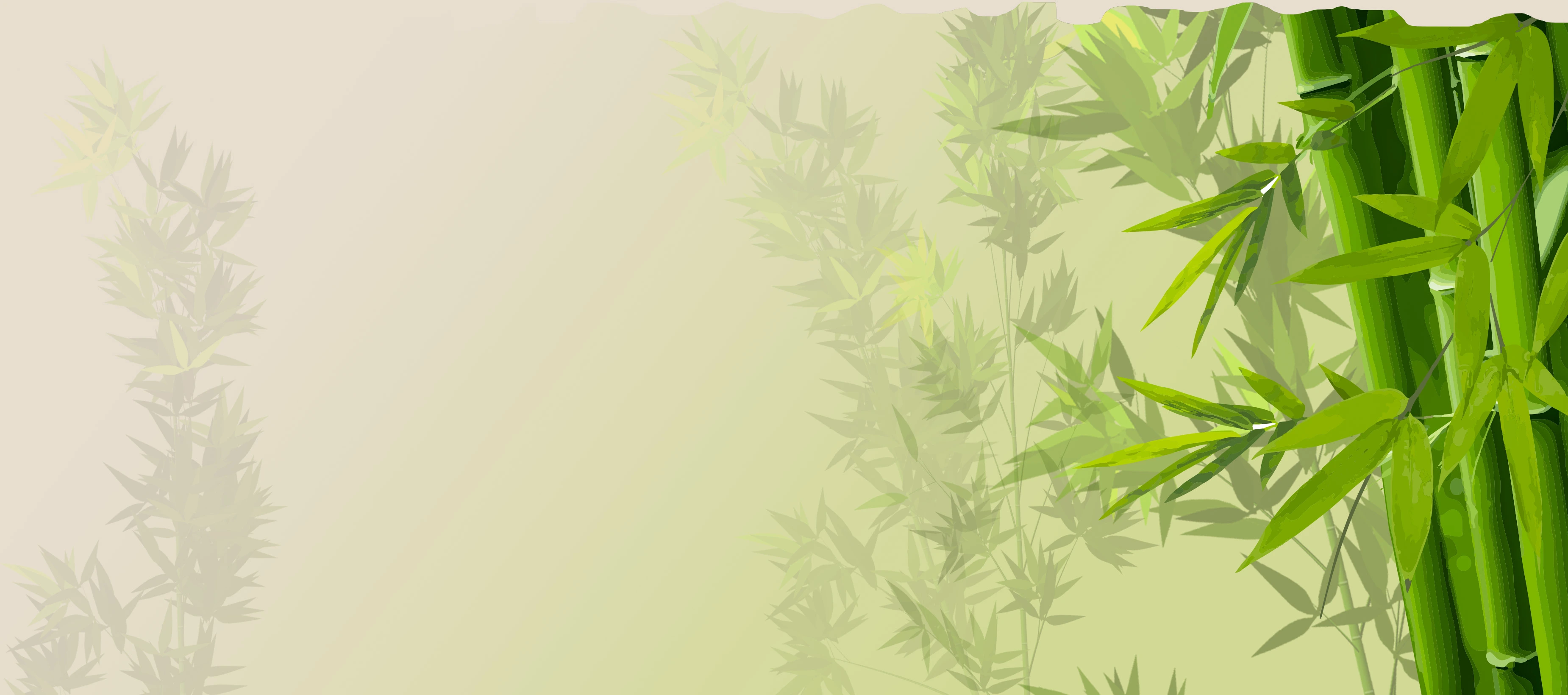 Fundo com bambu