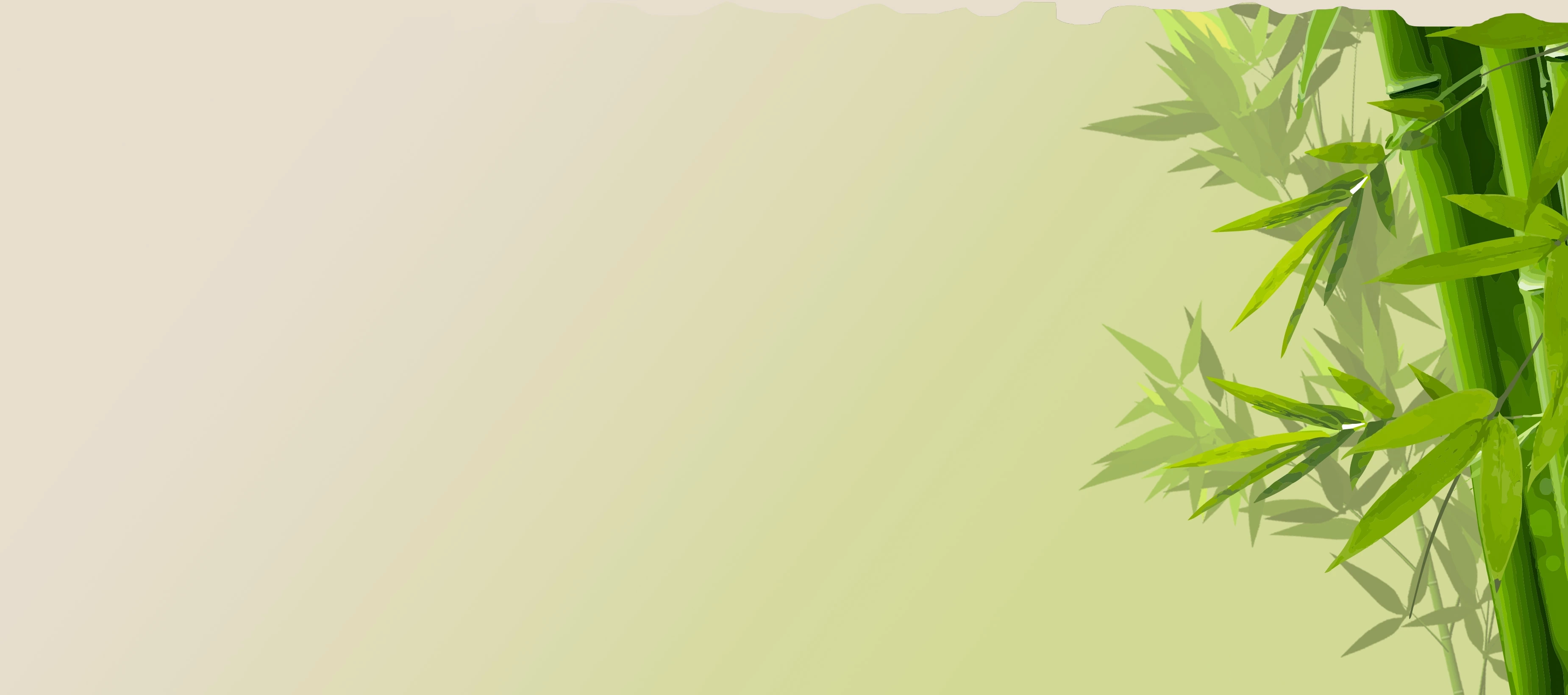 Fundo com bambu